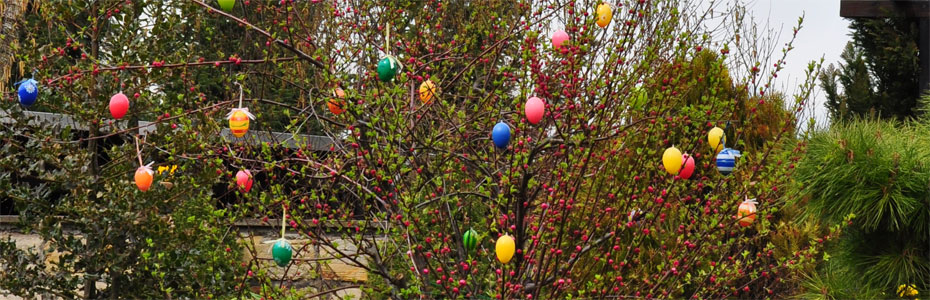 Frühlingstag  in Polleben