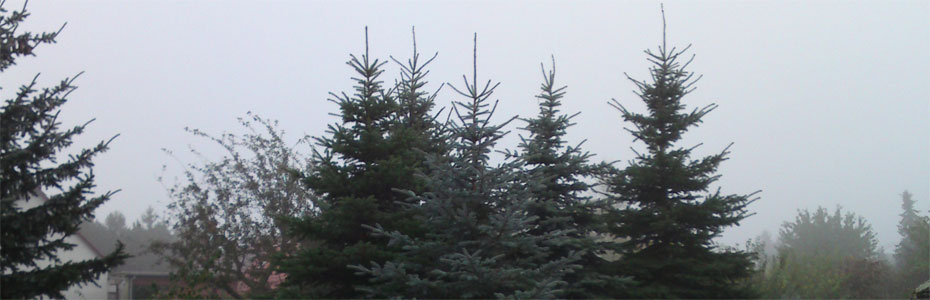 Herbstabend  in Polleben