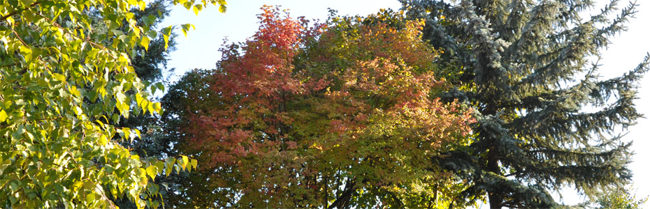 Herbsttag  in Polleben