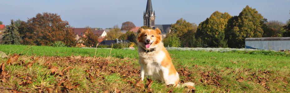 Herbsttag  in Polleben