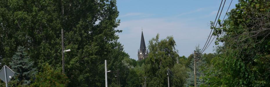 Sommermorgen  in Polleben