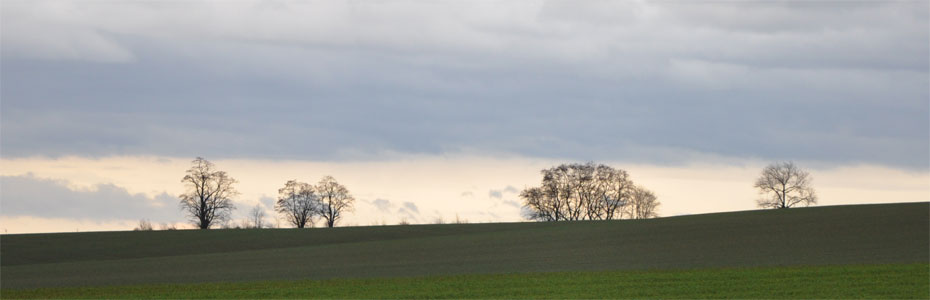 Herbstabend  in Polleben