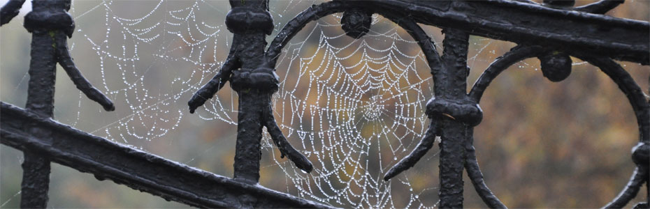 Herbstmorgen  in Polleben