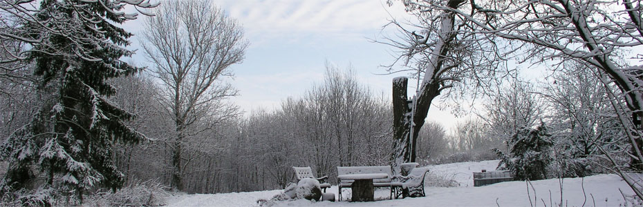 Wintermorgen  in Polleben