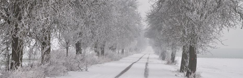 Wintertag  in Polleben